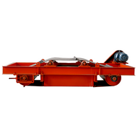 Séparateur de fer électromagnétique à décharge automatique série RCDD (MC12)